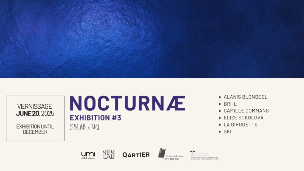 Nocturnae exhibition in Brussels on street harrasment